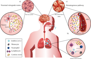 Read more about the article CoronaVirus and Nervousness Across the World